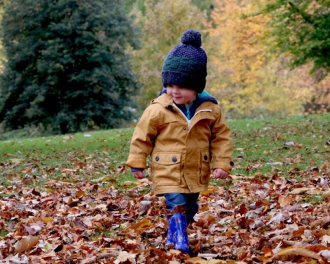 Small child playing in the fall leaves