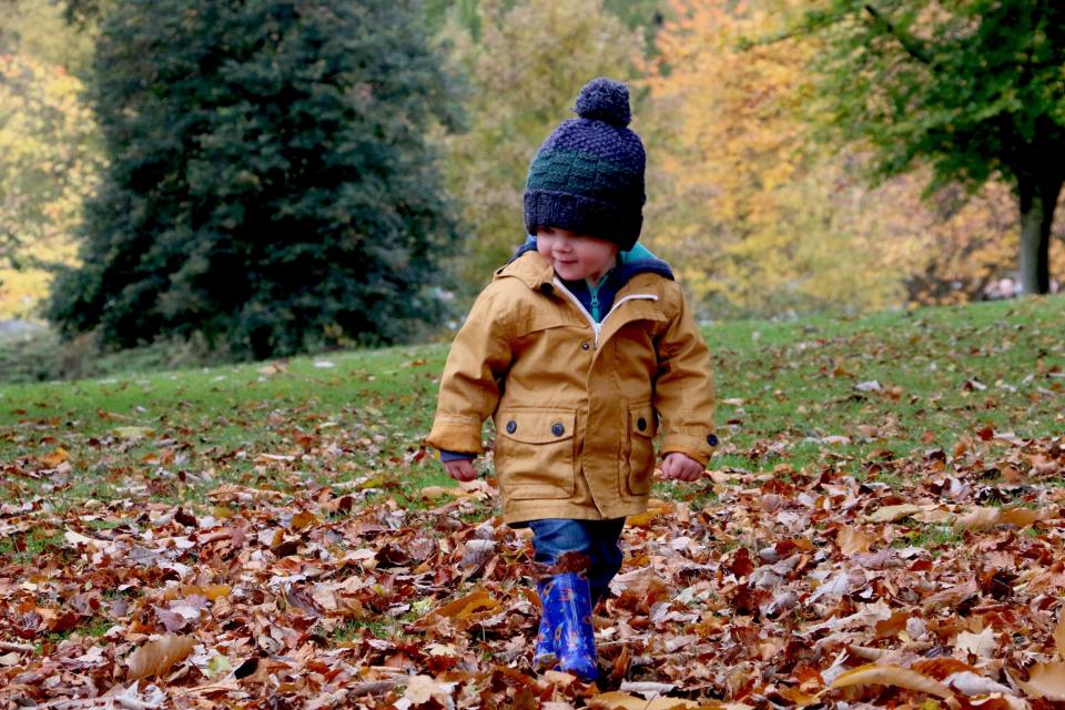 Small child playing in the fall leaves